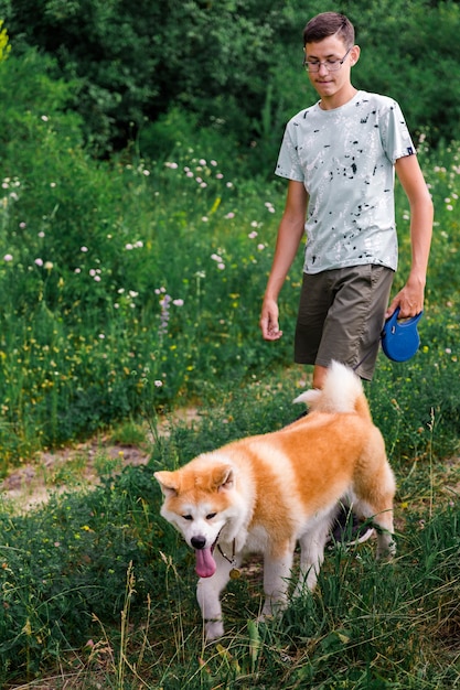 a young man walks in a summer park with a young puppy of akita breed