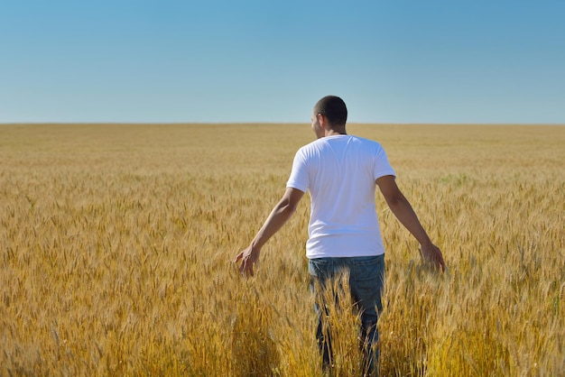 Photo young man in wheat field representing success agriculture and freedom concept