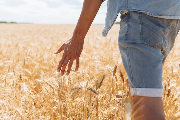 Foto giovane nel campo di grano