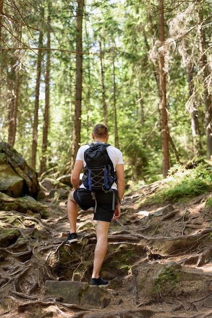 Young man with a backpack climbs up a rocky road with roots in the coniferous forest