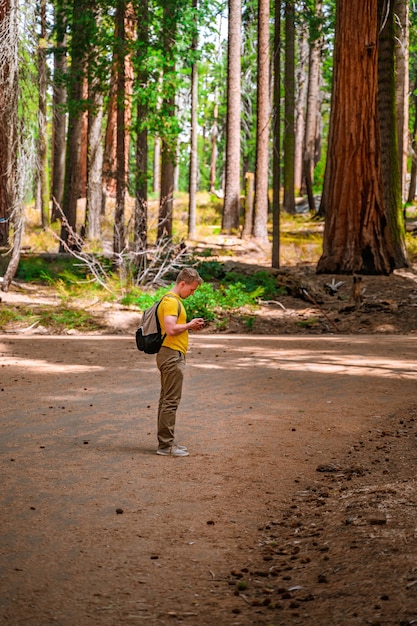 A young man with a backpack walks in the picturesque Sequoia National Park USA