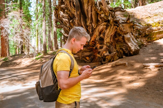 A young man with a backpack walks in the picturesque Sequoia National Park USA