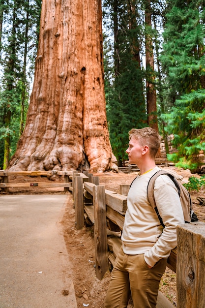 A young man with a backpack walks in the picturesque Sequoia National Park USA