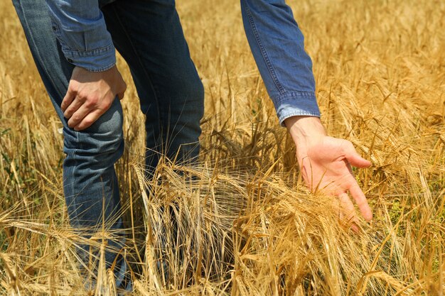 Young man with clipboard in barley field. Agriculture business