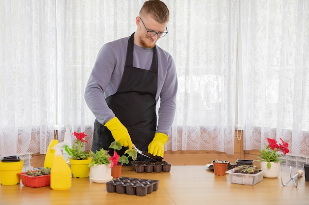 Young man with glasses and apron wearing yellow rubber gloves planting seedlings in pots