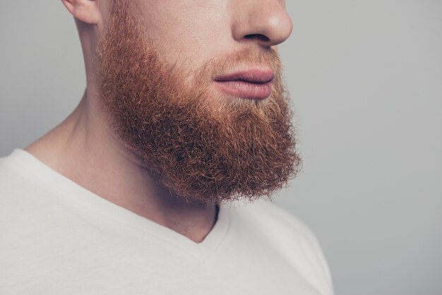 Young man with red beard