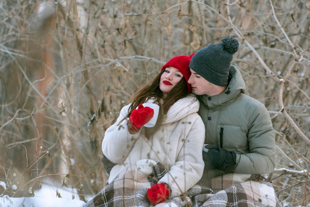 若い男性と女性は、雪に覆われた冬の公園でお互いに抱き合って座っており、冬の森でのピクニックで格子縞のカップルに身を包んでいます