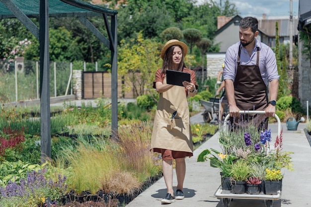 Young man and womangardeners take care about perennial plants in garden center