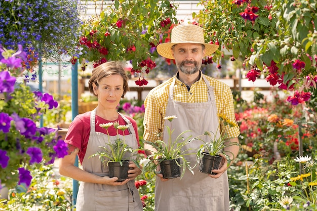 大規模なガーデンセンター内の花壇の間に立っている鉢植えの花を持つ若くて成熟した庭師