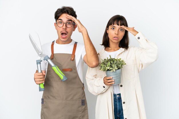 Young mixed race gardeners holding a plant and pruning shears isolated on white background has just realized something and has intending the solution