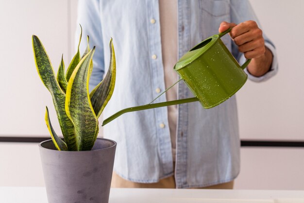 台所で植物を持つ若い混血の男