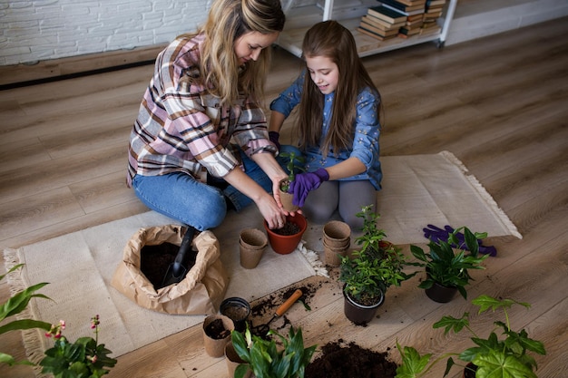 若い母と娘が花の世話をします屋内植物の世話をします