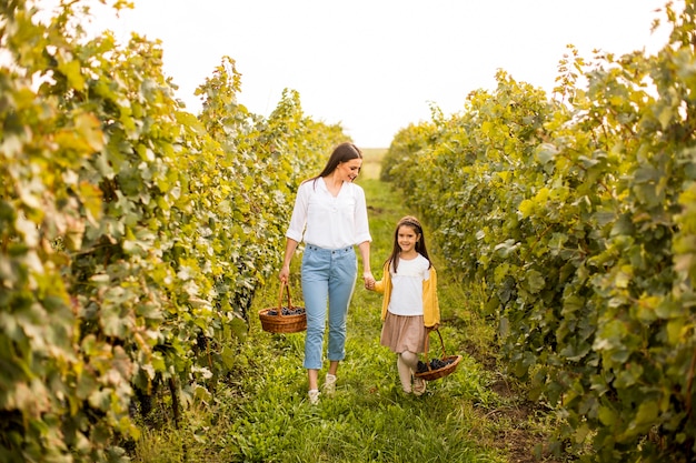 Young mother and her cute girl have fun in autumn vineyard