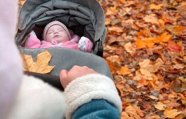 秋の公園でベビーカーで赤ちゃんと歩いている若い母親