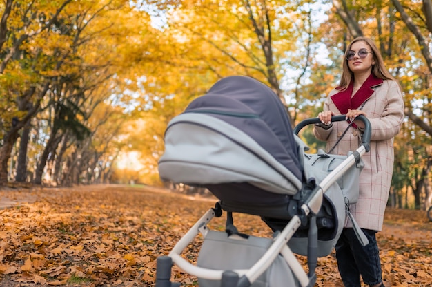 Young mother with pram in an autumn park