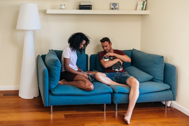 Young multiethinc couple stroking rabbits on sofa at home