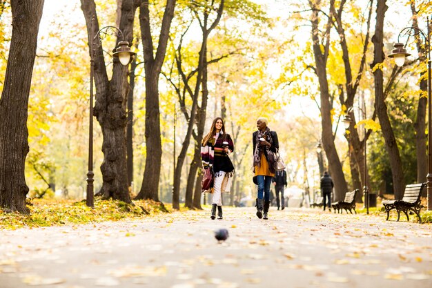 秋の公園の周りを歩いている若い異人種の友達、話したり、手に入るためにコーヒーを運ぶ