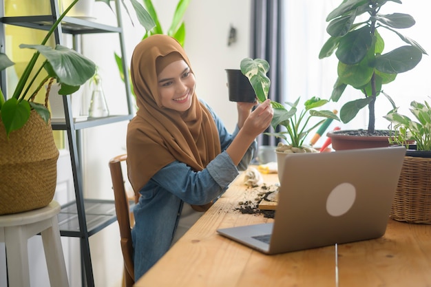 A young muslim woman entrepreneur working with laptop presents houseplants during online live stream at home, selling online concept