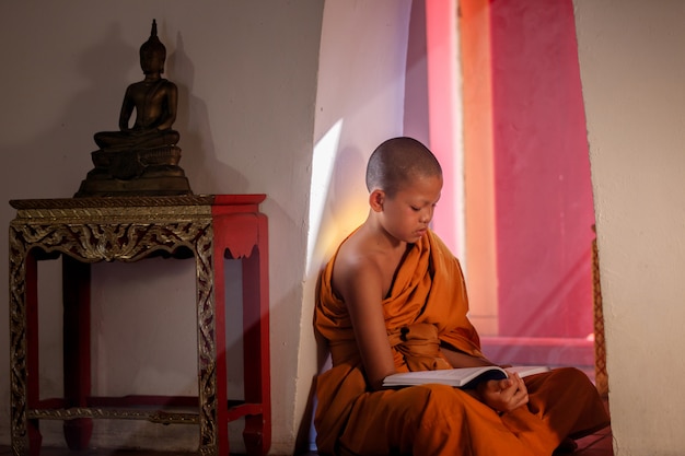 Photo young novice monk reading a book at ayutthaya historical park in thailand