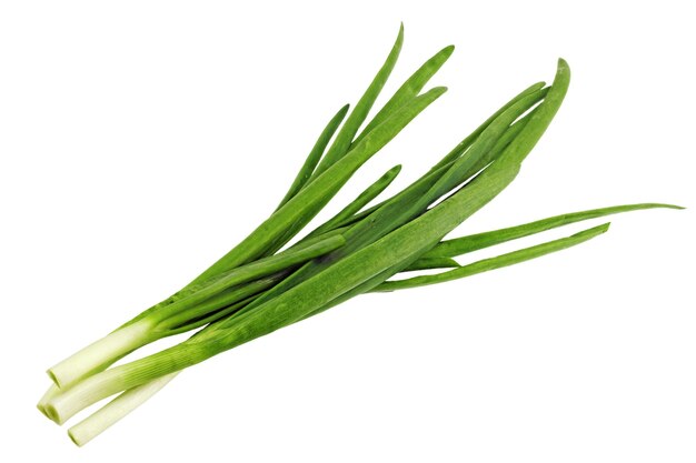 Young onion on white background. Close-Up. Isolated.