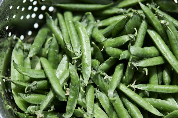 写真 鉄ザルのさやの中の若いエンドウ豆ダイエット健康的な食事