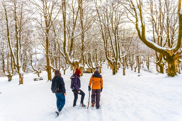 冬のペナスデアヤの隣、ギプスコアにあるオイアルツンの町にある雪に覆われたオイアンレク自然公園を訪れる若者たち。バスク