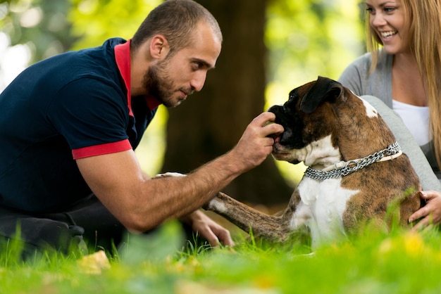 公園で犬と一緒に若者