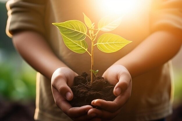 a young plant is held in a hand