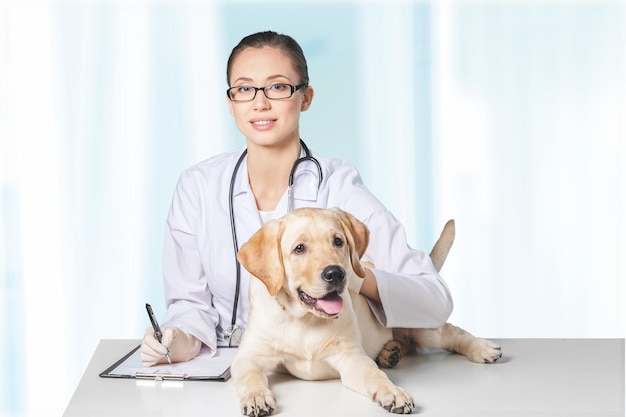 Young positive brunette veterinary woman with spaniel taking notes on tablet pc