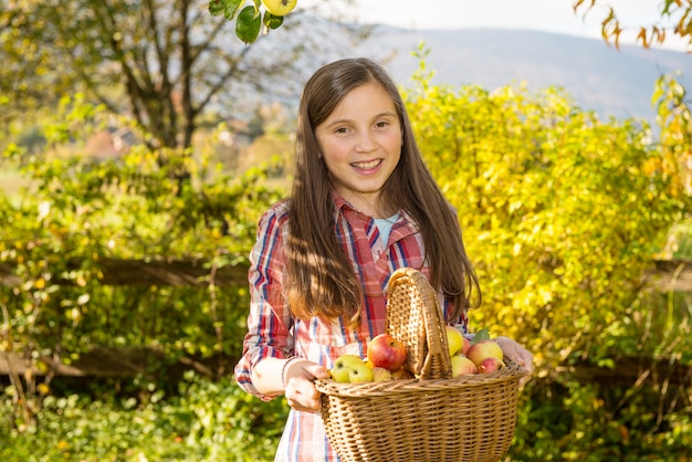 Молодой предварительно подросток собирает яблоки в саду