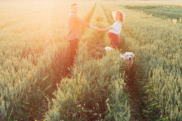 Young pregnant couple stands holding hands in middle of field, large white dog accompanies them. Pregnant woman . Family and pregnancy. Happiness and serenity. Nature and health.