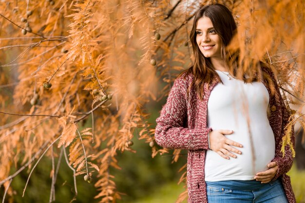 Young pregnant woman in the autumn park