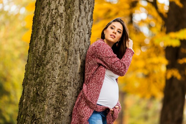 Young pregnant woman in the autumn park