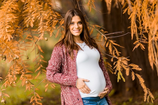 Young pregnant woman in the autumn park