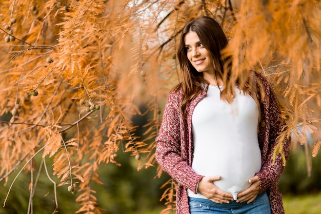 Молодая беременная женщина в осеннем парке