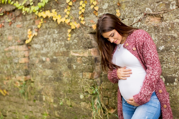 Young pregnant woman in the autumn park