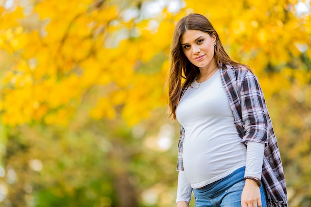 Young pregnant woman in the autumn park