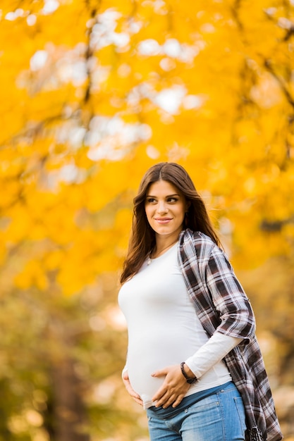 Young pregnant woman in the autumn park