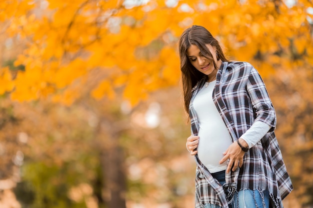 Young pregnant woman in the autumn park