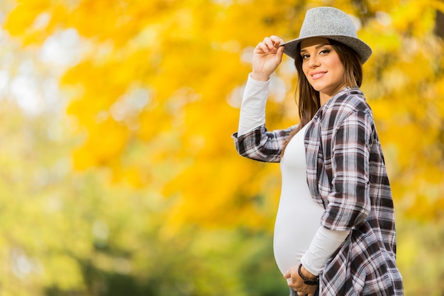 Young pregnant woman in the autumn park