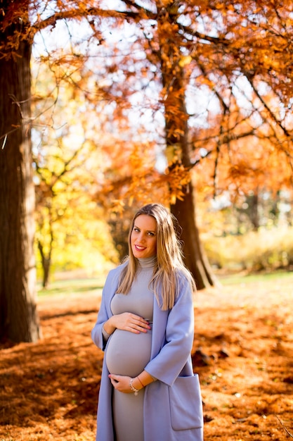 Young pregnant woman posing in autumn park