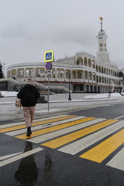 Молодая симпатичная брюнетка переходит дорогу по пешеходному переходу со своей собакой в городском парке