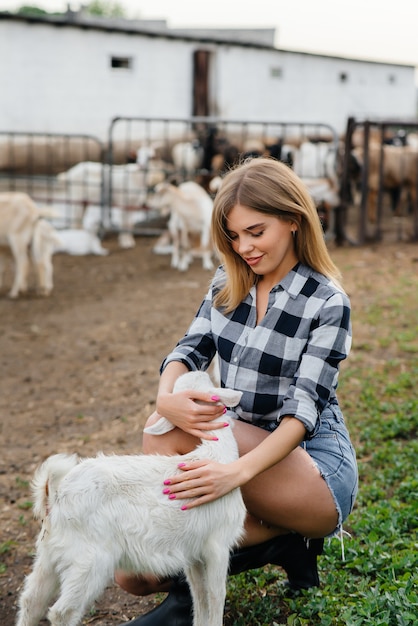 A young pretty girl poses on a ranch with goats and other\
animals. agriculture, livestock breeding.