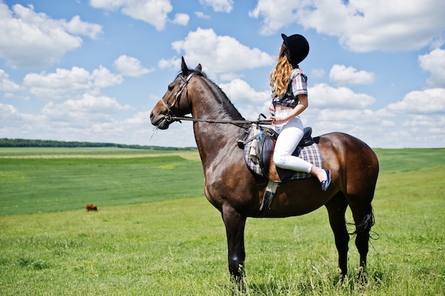 Young pretty girl riding a horse on a field at sunny day