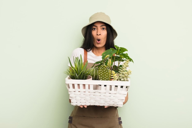 Young pretty hispanic woman with plants farmer or gardener concept