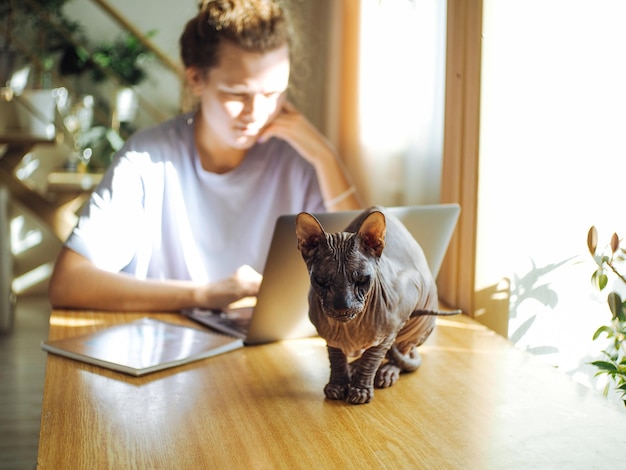 young pretty woman in homewear working at home using laptop sphynx cat on a foreground
