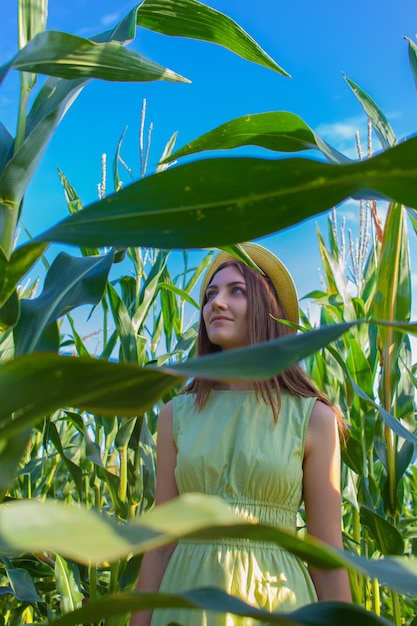 Foto giovane donna graziosa con il cappello giallo tra le piante di mais nel campo di mais nella stagione estiva bereza bielorussia