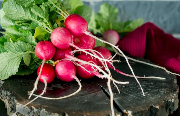 Young radish on the table