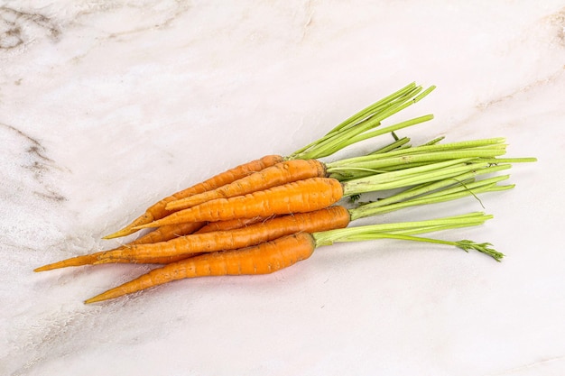 Young raw carrot heap isolated