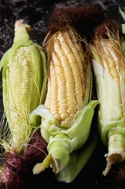 Young raw corn cobs